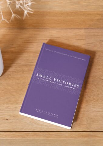 Cover of Small Victories journal